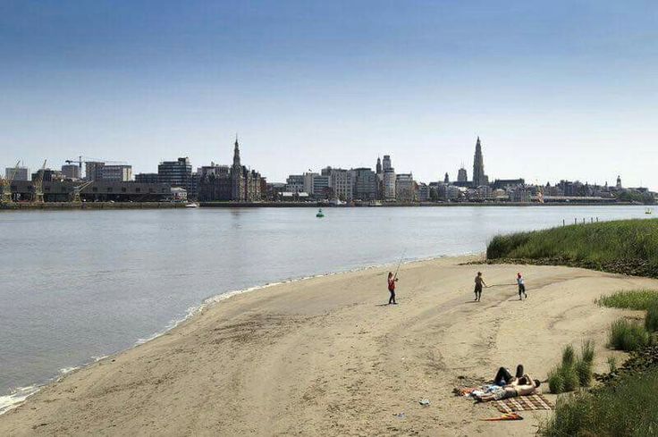 Antwerp Real Estate 2026